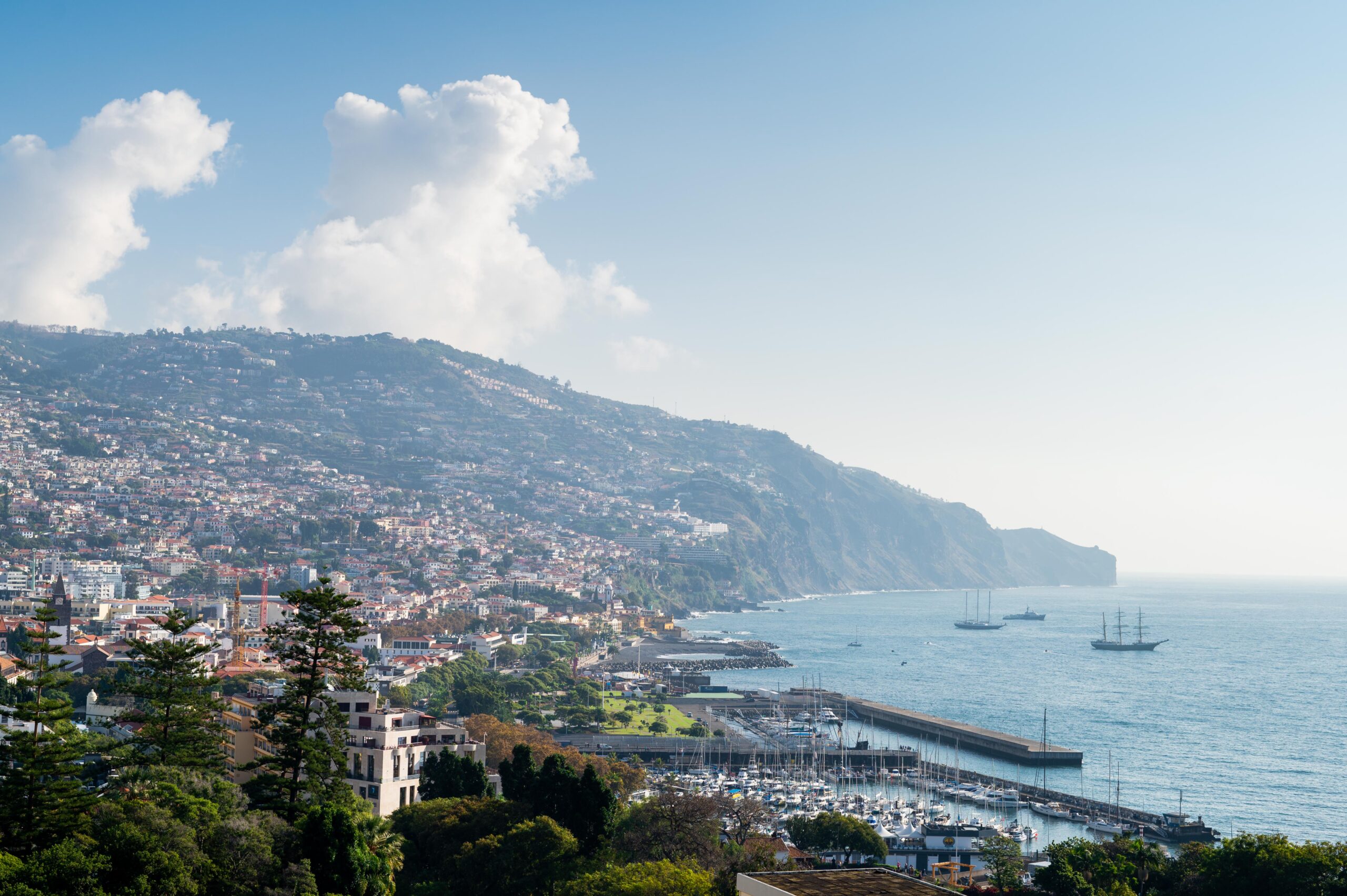 Rooftop Funchal I